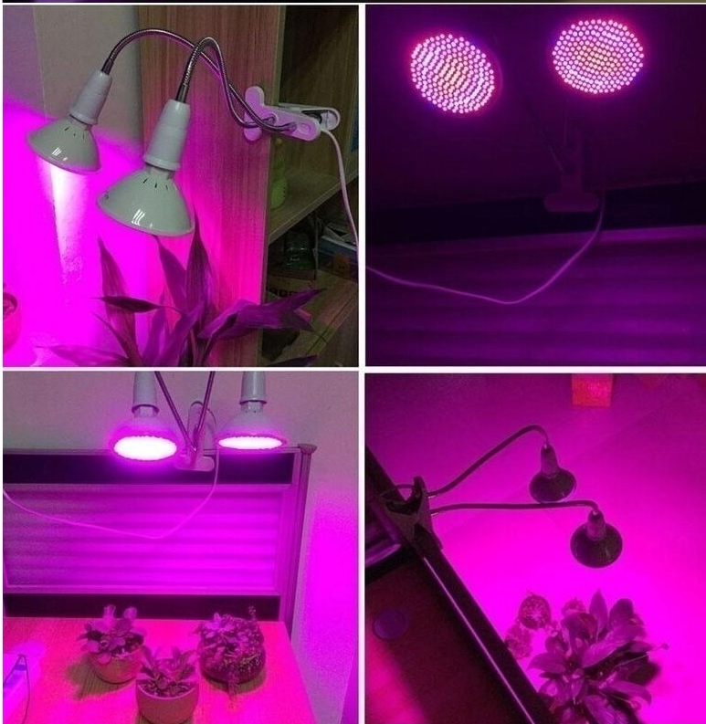 אור מלאכותי לצמחים