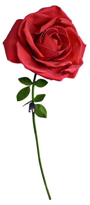 ורד ענק XXL - ורדים במתנה לאישה