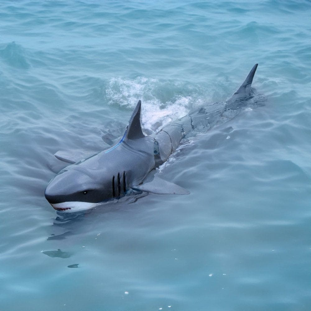 כריש RC לשליטה מרחוק לתוך המים עם בקר